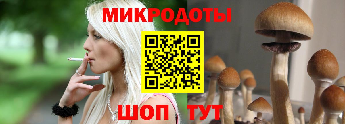 Галлюциногенные грибы MAGIC MUSHROOMS Семилуки